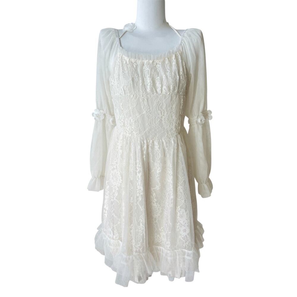 Cottagecore Ivory Lace Dress Long Slv Rosettes Regency Sz M Tulle Pleated Fairy - Picture 2 of 9